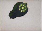 Gorba (New Voyage)